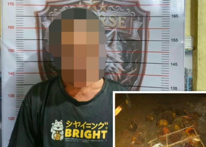 Curi 28 Tandan Buah Sawit, Polsek Lubai Tangkap Satu Pelaku
