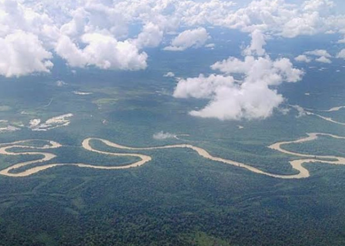 Wajib Tahu! Ini 5 Sungai Terpanjang di Indonesia, Salah Satunya dari Sumatera Selatan