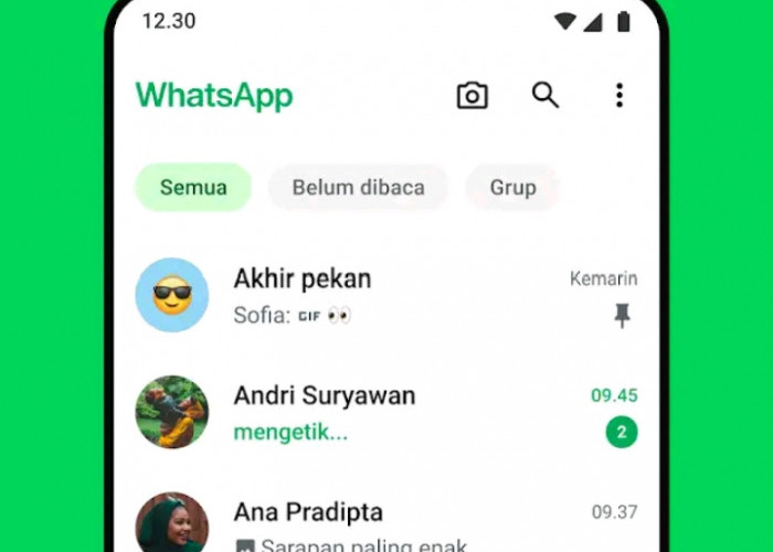 Ini Dia 5 Cara Efektif Menghapus File Sampah di WhatsApp, Penyimpanan Hp Dijamin Maksimal