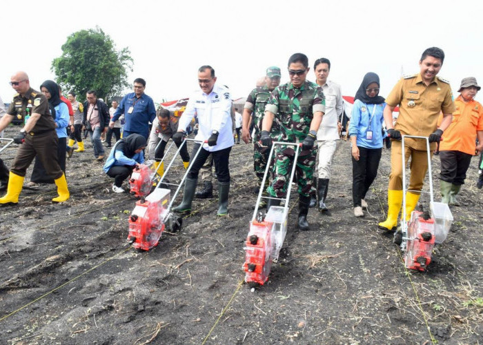 Dukung Program Pemerintah Swasembada Pangan, Sekda Sumsel Bersama Kapolda Tanam Jagung Serentak di Ogan Ilir