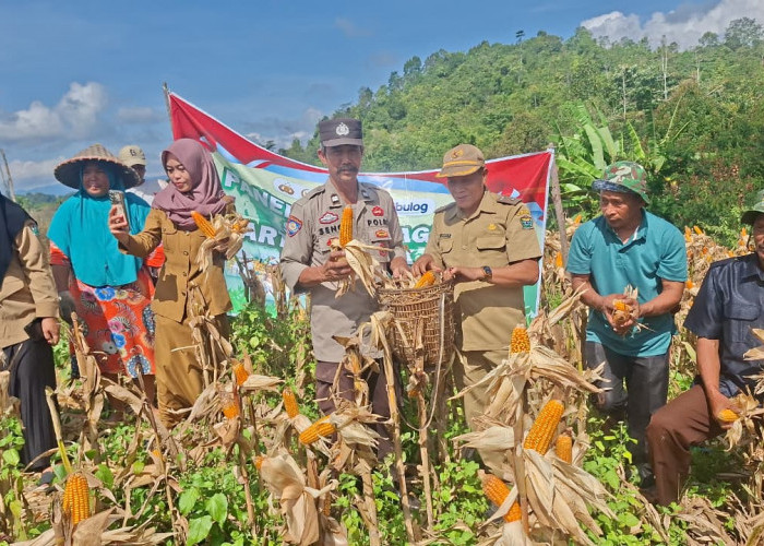 Bukti Semangat Petani Jaga Ketahanan Pangan