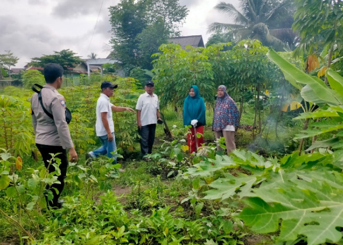 Dukung Kebutuhan Pangan Lokal