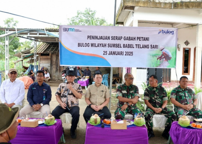 Pj Gubernur Sumsel Harapkan Bulog Maksimalkan Penyerapan Gabah Petani di Saat Puncak Panen Raya