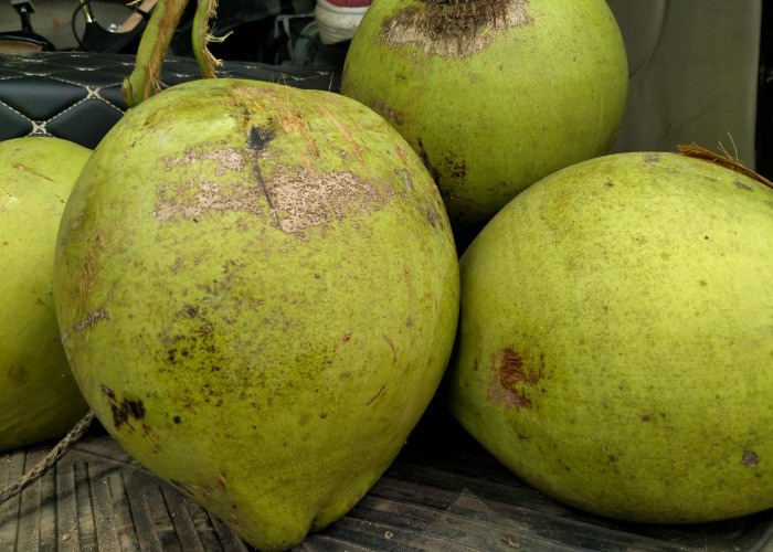 6 Manfaat Kelapa Muda untuk Orang yang Berpuasa