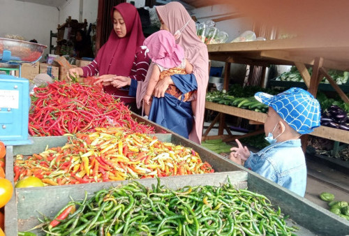 Jelang Idul Adha, Harga Cabai Rawit Makin 'Pedas'