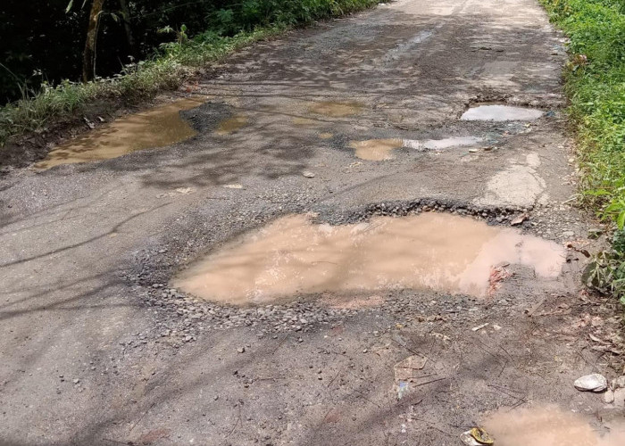 Memprihatinkan, Jalan ke-4 Desa di Pinggir Jalan Negara Sudah 18  Tahun Hancur Lebur