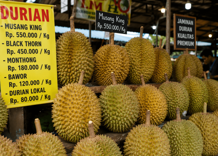 Mengapa Harga Durian Bisa Sangat Mahal? Ini Faktor yang Mempengaruhinya