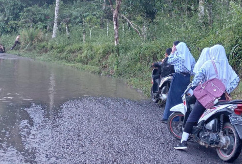 Jalan Tergenang Air, Pelajar di Semende Darat Tengah Kesulitan Melintas