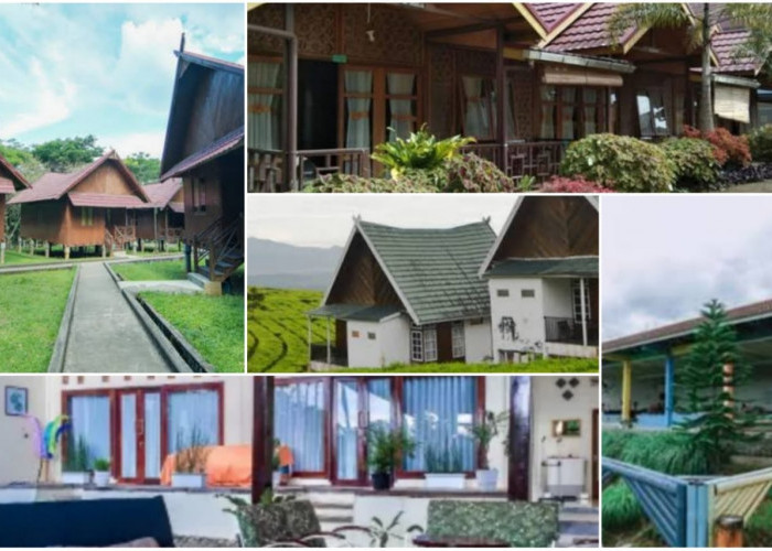 Sebentar Lagi Liburan Nataru, yang Mau Wisata ke Pagaralam, Ini Harga Villa dan Hotel dengan Harga Terjangkau