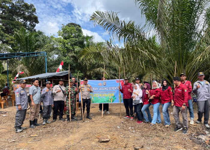 Manfaatkan﻿ Lahan Kosong untuk Bercocok Tanam