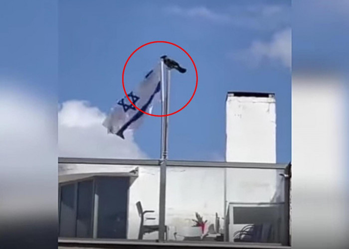 VIRAL! Burung Robek Bendera Israel, Masya Allah, Pertanda Apa Ini?