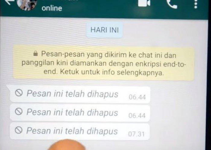 Gampang Banget dan Tanpa Aplikasi Tambahan! Begini Cara Mudah Melihat Pesan WA yang Sudah Dihapus