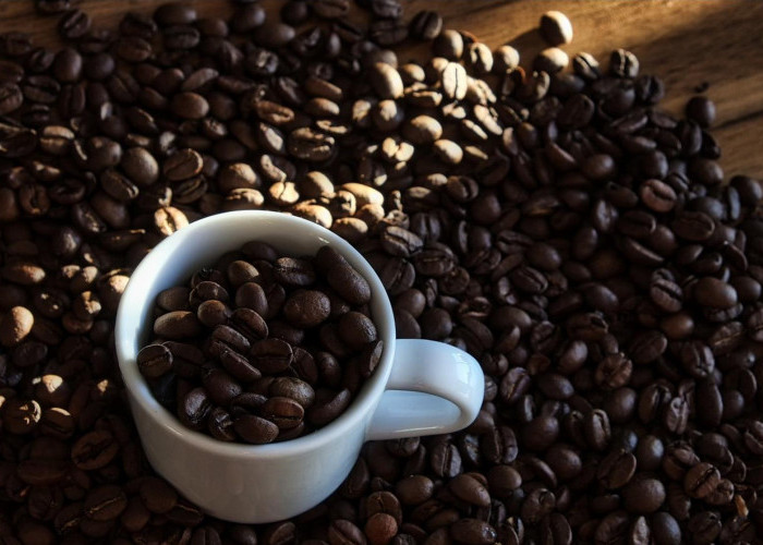 Jangan Terlalu Sering Minum Kopi, Ini Jadinya Jika Kelebihan Konsumsi Kafein