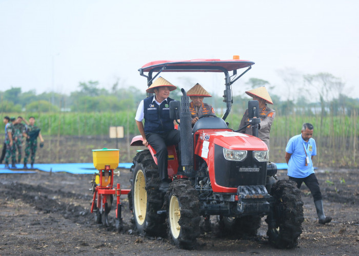 Tanam Jagung Serentak, Gubernur Herman Deru dan Kapolri Perkuat Ketahanan Pangan Nasional