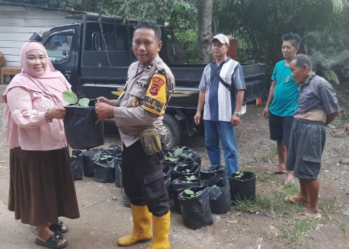 Dukung Ketahanan Pangan, Bhabinkamtibmas Polsek Lawang Kidul Bagikan Bibit Terong Ungu