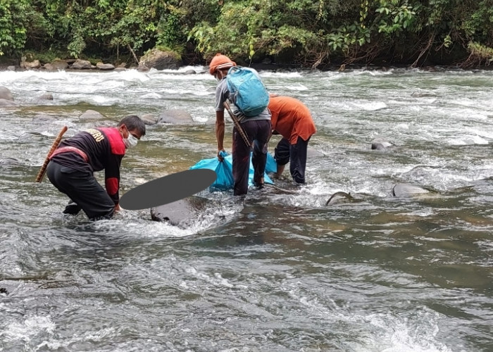 Hanyut 11 Hari di Sungai Enim, Warga Semende Muara Enim Ini Ditemukan Sudah Jadi Mayat