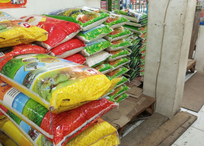 Stok Beras Aman, Kemasan 5 Kg Laku Keras