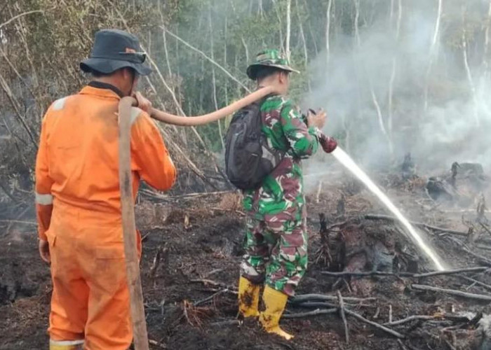 3 Kecamatan di Kabupaten Muara Enim Masuk Zona Waspada Karhutla