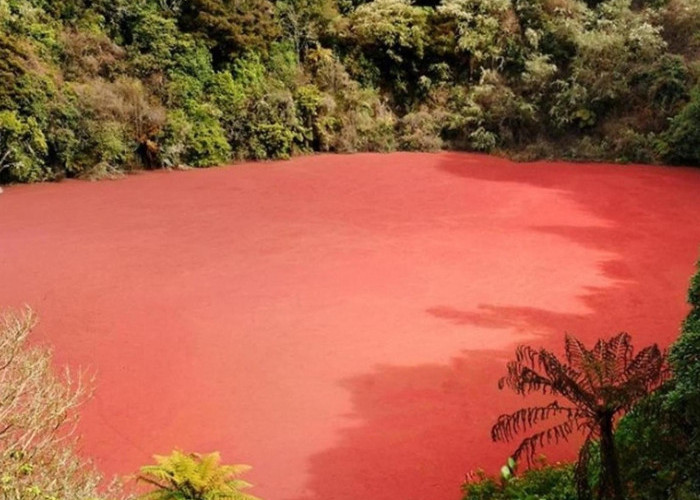 Unik! Danau Ini Berwarna Merah Berlokasi di Sumsel, Kunjungi Yuk