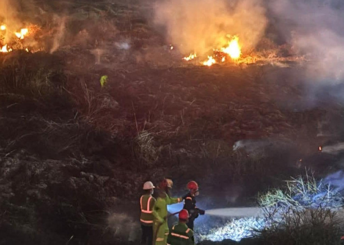 Api Lahap 500 Meter Persegi Lahan Belukar Dekat Rel Lama PTBA