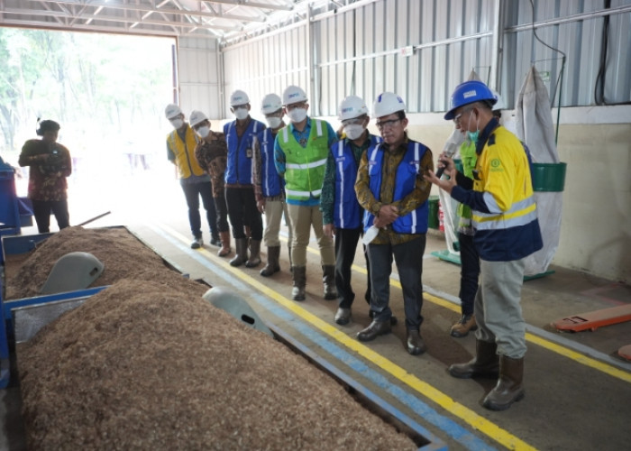 Kembangkan Biomassa dari Kaliandra Merah, PT Bukit Asam Bangun Pilot Plant Wood Pellet