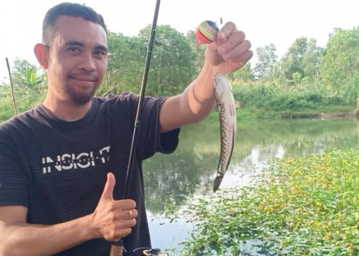 Anda Hobi Memancing? Begini Tips Memancing Ikan di Sungai Agar Mendapatkan Hasil yang Optimal!