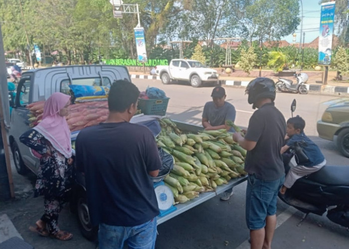 Jelang Pergantian Tahun, Pedagang Jagung di Muara Enim Sumsel Diserbu Pembeli, Segini Harganya