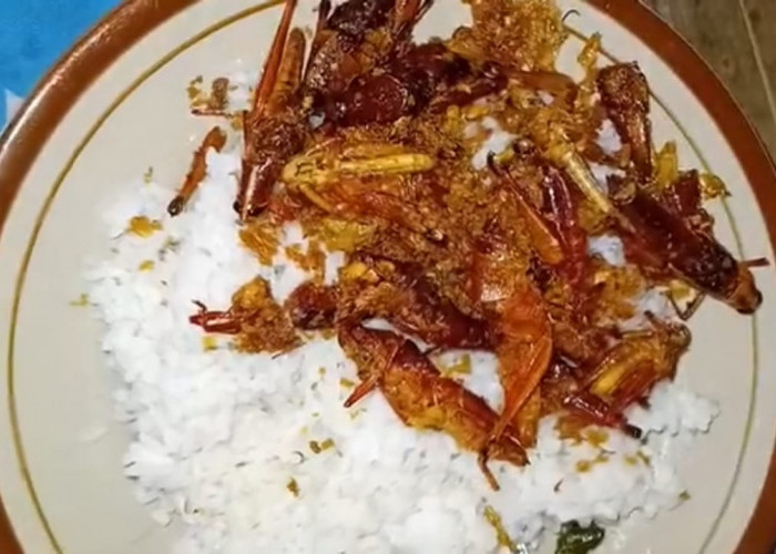 Meski Ekstrim, Belalang Goreng Ternyata Sumber Protein Tinggi