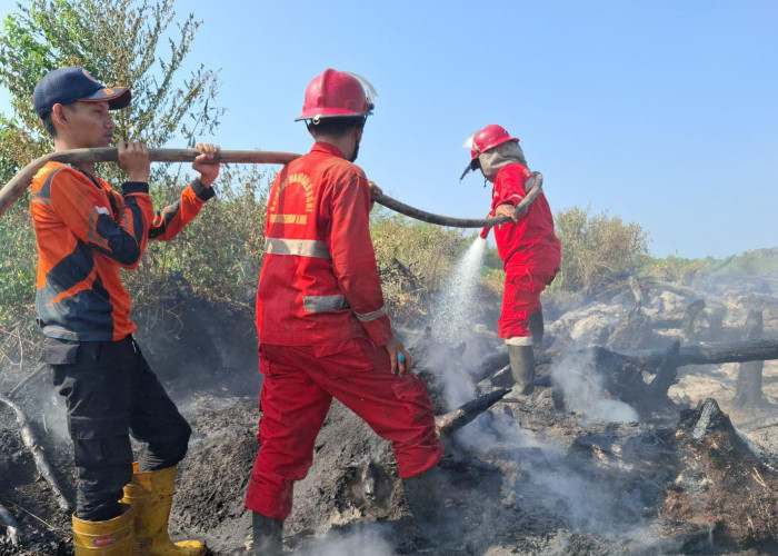 3 Hektare Lahan Program Cetak Sawah Rakyat Terbakar, Tim Gabungan Lakukan Pemadaman