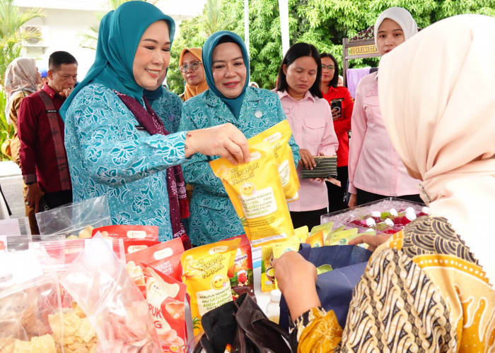 Monev di Prabumulih, Ketua TP PKK Sumsel Tekankan Peran Kader Awasi Anak dari Game Online hingga Narkoba