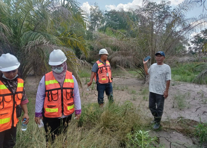 Pencemaran Disposal PT TBBE, Pemkab Muara Enim Minta Inspektur Tambang Turun Tangan