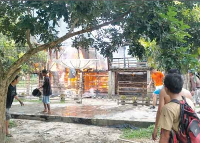 Kebakaran Rumah Warga Desa Kota Baru, Tidak Ada Barang yang Bisa Diselamatkan