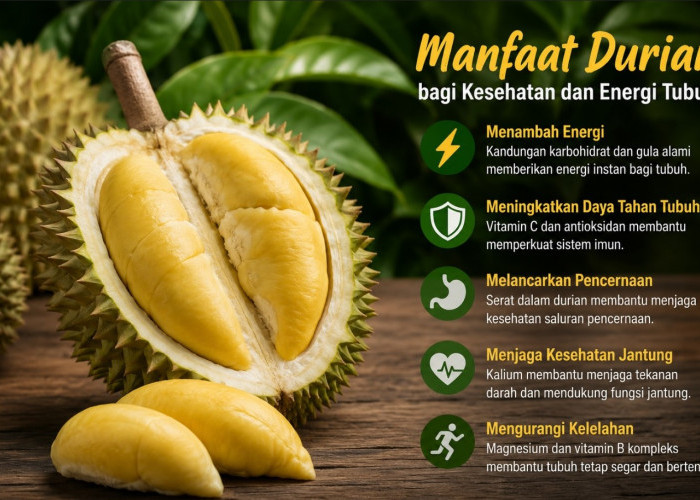 Kaya Nutrisi dan Bikin Stamina Tetap Prima! Ini Manfaat Durian Bagi Kesehatan dan Energi Tubuh