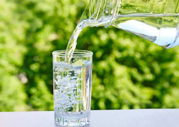 Apa Perbedaan Air Mineral dan Air Biasa? Mengapa Air Mineral Lebih Baik Bagi Kesehatan Dibandingkan Air Biasa?