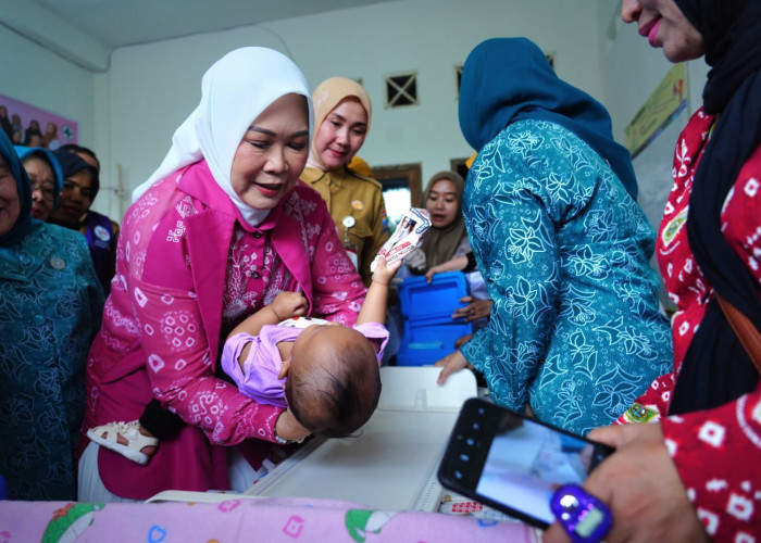 Ketua TP PKK Sumsel Ajak Ibu Rutin Bawa Balita ke Posyandu Demi Kesehatan dan Tumbuh Kembang Optimal