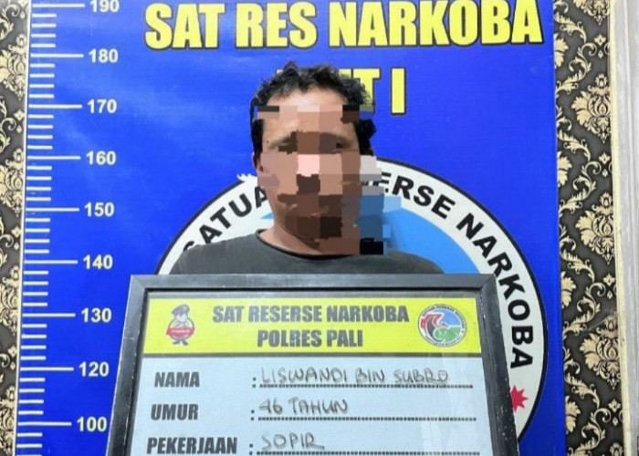 Pengedar Sabu Diringkus Polisi Saat Sedang Tunggu Pemesan, Segini Barang Buktinya