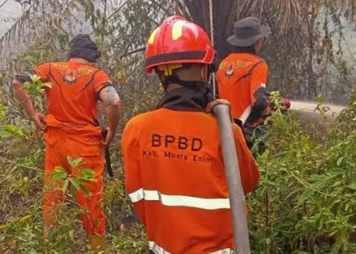 Karhutla di Gelumbang Meluas, 30 Hektare Lahan Terbakar