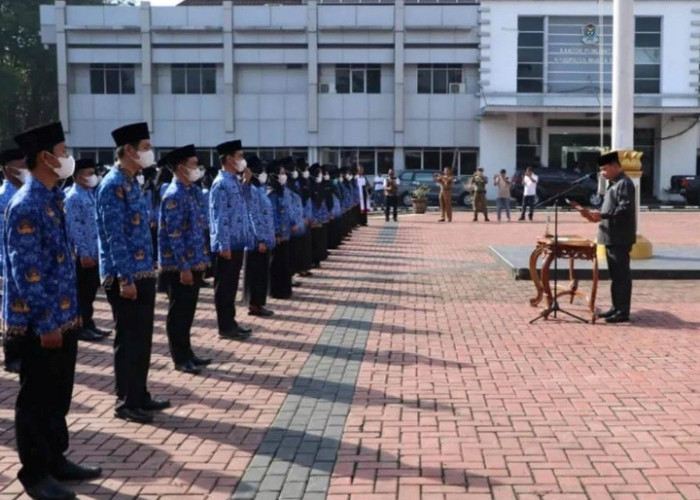 Honorer Bisa Langsung Diangkat Menjadi PNS Berusia 19 Tahun? Simak Penjelasnnya Disini