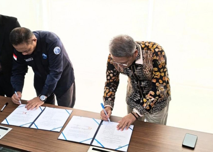 Perkuat Perlindungan Perempuan dan Anak, Dinas PPPA Muara Enim Gandeng UIN Raden Fatah Palembang