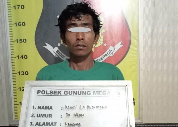 Team Trabazz Polsek Gunung Megang Ringkus Pencuri Kelapa Sawit, Tuh Orangnya