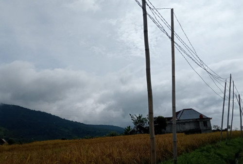 Bertahun-tahun Tiang Listrik di Desa Segamit Pakai Bambu