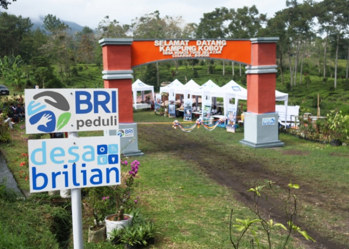 Jangkau 5.245 Desa BRILiaN, BRI Perluas Dukungan bagi Pengembangan Ekonomi Desa