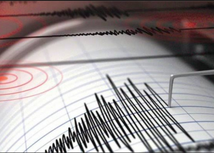 BREAKING NEWS: Gempa di Kaur Bengkulu Terasa Hingga Muara Enim