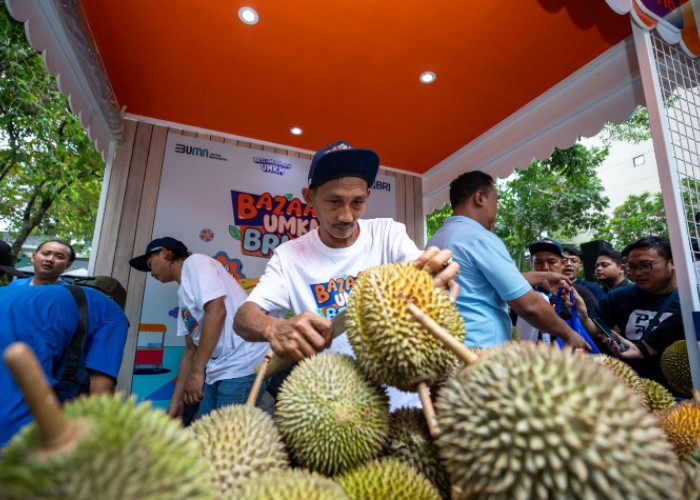 Kelompok Petani Durian di Pekalongan Makin Berkembang Berkat Pemberdayaan BRI