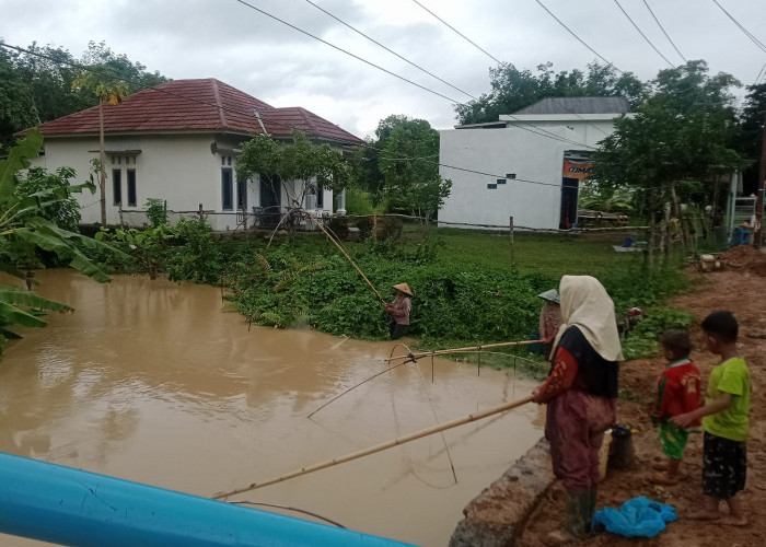 Sungai Meluap, Warga di Muara Enim Ramai-Ramai Tangkul Ikan