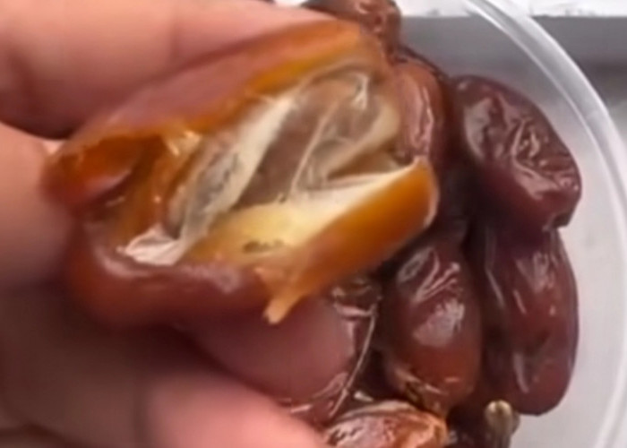 Kurma Buah yang Kaya Nutrisi dan Memiliki Banyak Manfaat untuk Kesehatan