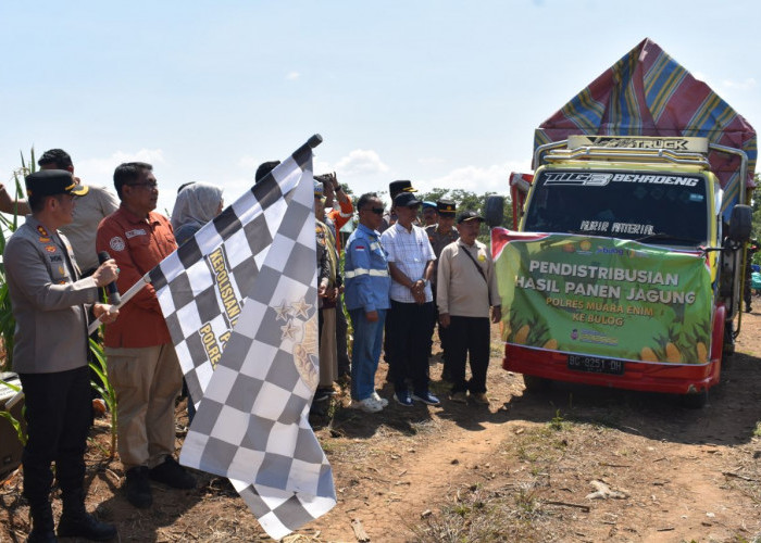 Sukseskan Swasembada Pangan, Polres Muara Enim Berpartisipasi Laksanakan Panen Raya Jagung Serentak