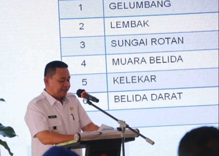 CDOB Gelumbang Sumatera Selatan Terkendala Moratorium, Ini 6 Kecamatan Calon Kabupaten Baru