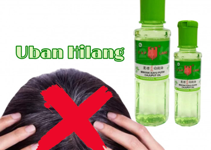 Cara Hilangkan Uban Hingga ke Akar Pakai Minyak Kayu Putih Cap Lang, Rambut Hitam Permanen