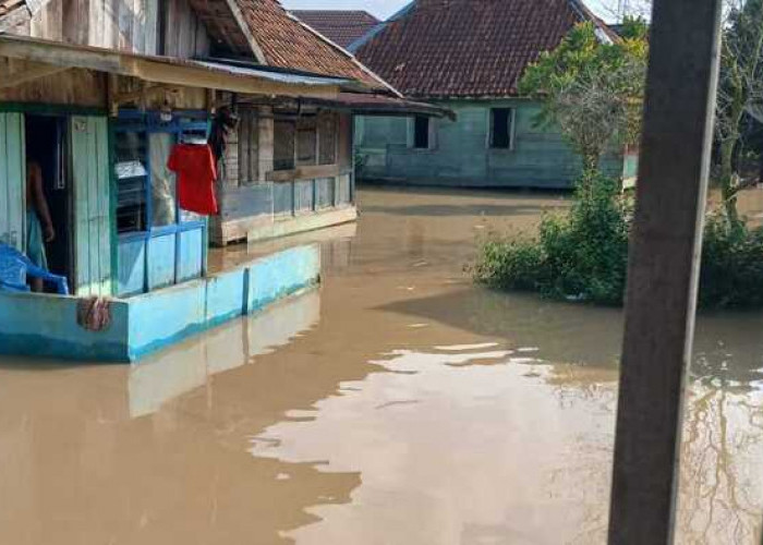 Desa Kuripan Selatan Rawan Banjir Akibat Luapan Air Sungai Lematang